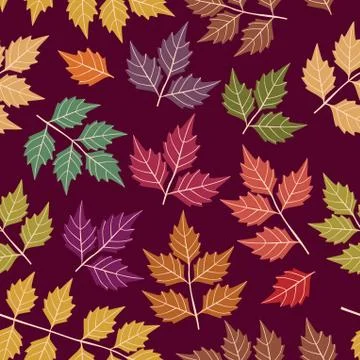 A seamless pattern with leaf,autumn leaf background Stock Illustration
