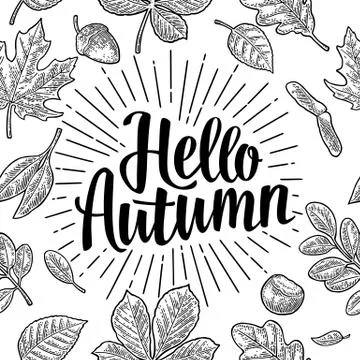 Seamless pattern leafs, acorn, chestnut and seed. Hello Autumn lettering. 스톡 일러스트
