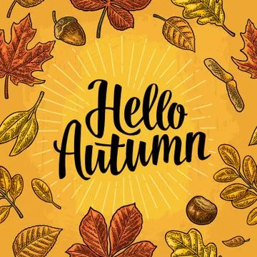 Seamless pattern leafs, acorn, chestnut and seed. Hello Autumn lettering. Illustrazione stock