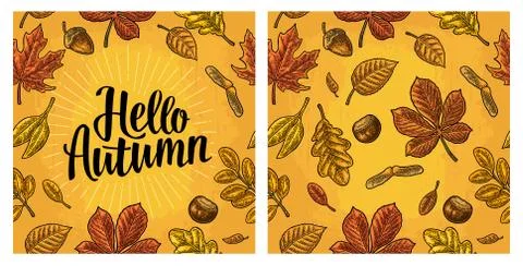 Seamless pattern leafs, acorn, chestnut and seed. Hello Autumn lettering. Stock Illustration