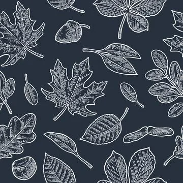 Seamless pattern leafs, acorn, chestnut and seed. Vector vintage engraving 스톡 일러스트