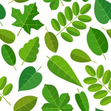 Seamless pattern leafs. Vector flat color illustration. Isolated white back.. Stock Illustration
