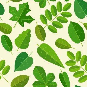 Seamless pattern leafs. Vector flat color illustration. Isolated white Illustrazione stock