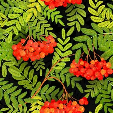 Seamless pattern with leaves and ash-berry rowanberry. Vector illustration Stock Illustration