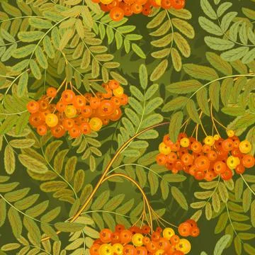 Seamless pattern with leaves and ash-berry rowanberry. Vector illustration Stock Illustration