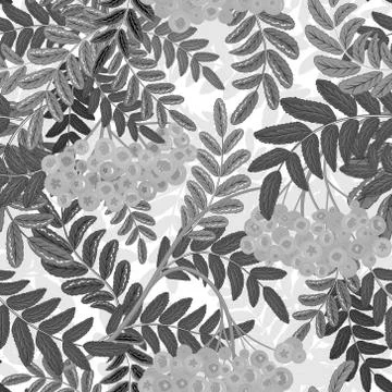 Seamless pattern with leaves and ash-berry rowanberry. Vector illustration Stock Illustration
