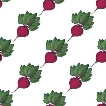 Seamless pattern with leaves and beet root on a white background. Ripe Vegeta Illustrazione stock