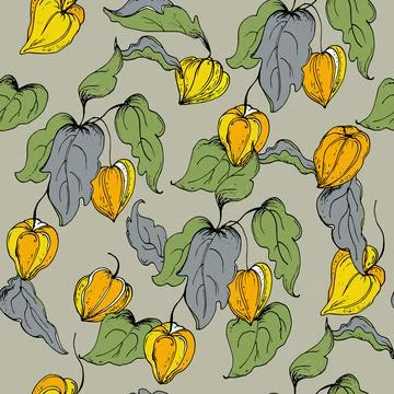 Seamless pattern with leaves and flowers physalis.Vector illustration Stock Illustration