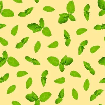 Seamless pattern, leaves and sprigs of mint on a yellow background. Top view, Foto stock