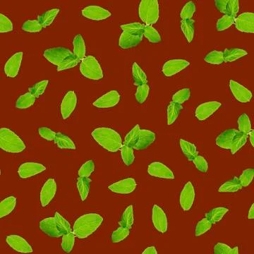 Seamless pattern, leaves and sprigs of mint on a dark red background. Foto stock