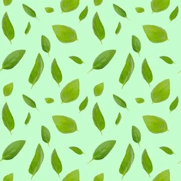 Seamless pattern with leaves. Basil leaves on a green background. Stock Illustration