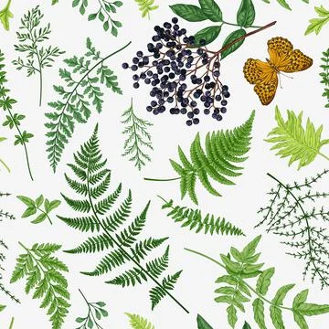 Seamless pattern with leaves, berry. Illustrazione stock