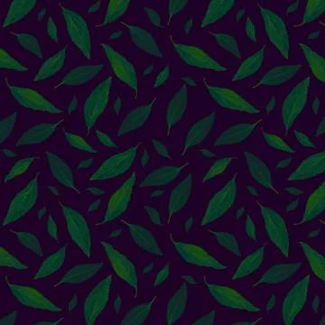 Seamless pattern with leaves on a dark background. Natural ornament Stock Photos