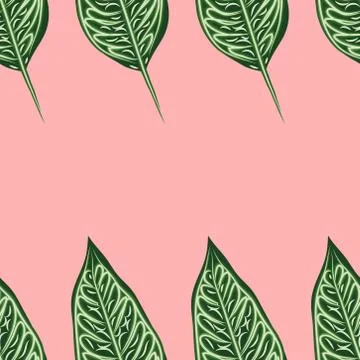 Seamless pattern with leaves of ficus benjamin on green background 스톡 일러스트