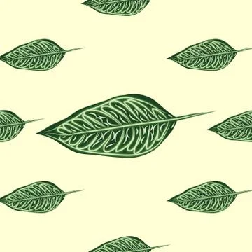 Seamless pattern with leaves of ficus benjamin on green background 스톡 일러스트