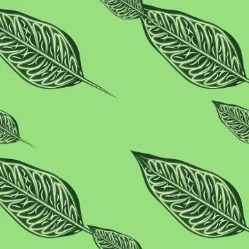 Seamless pattern with leaves of ficus benjamin on green background 스톡 일러스트