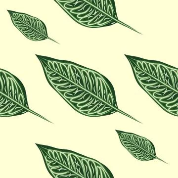 Seamless pattern with leaves of ficus benjamin on green background 스톡 일러스트