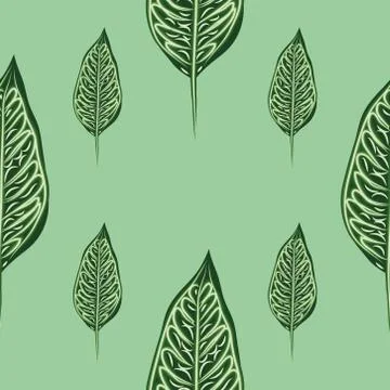 Seamless pattern with leaves of ficus benjamin on green background 스톡 일러스트