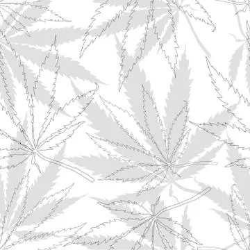 Seamless pattern with leaves of hemp Marijuana leaf. Stock Illustration