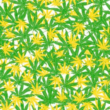 Seamless pattern with leaves of hemp, marijuana, hashish. Marijuana leaf. イラスト素材