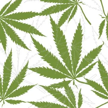 Seamless pattern with leaves of hemp Marijuana leaf. Stock Illustration