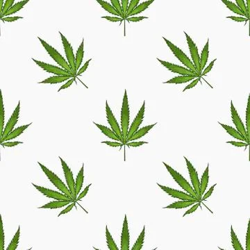Seamless pattern with leaves of hemp Marijuana leaf. Cannabis plant background Stock Illustration
