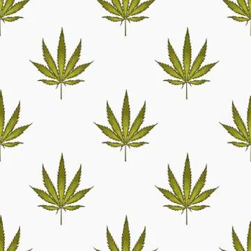 Seamless pattern with leaves of hemp Marijuana leaf. Cannabis plant background Stock Illustration