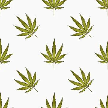Seamless pattern with leaves of hemp Marijuana leaf. Cannabis plant background Stock Illustration