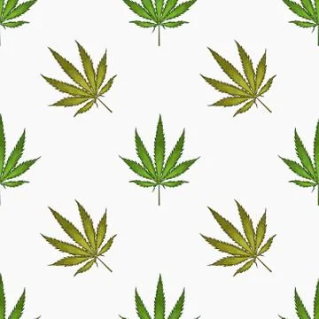 Seamless pattern with leaves of hemp Marijuana leaf. Cannabis plant background Stock Illustration
