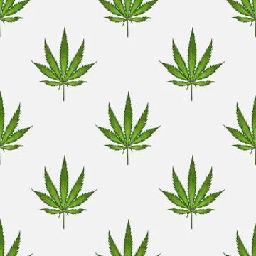 Seamless pattern with leaves of hemp Marijuana leaf. Cannabis plant background Stock Illustration