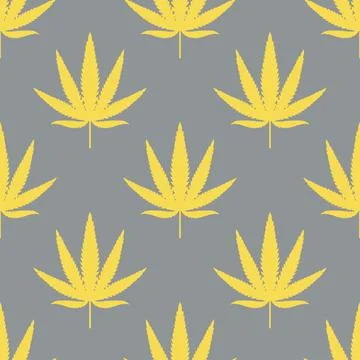 Seamless pattern with leaves of hemp Marijuana leaf. Cannabis plant on gray Stock Illustration