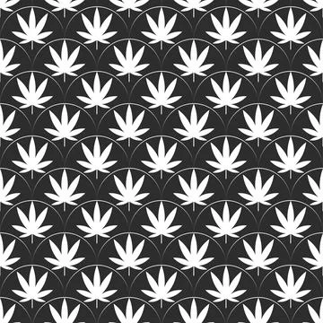 Seamless pattern with leaves of hemp Marijuana leaf. Cannabis plant scales Stock Illustration