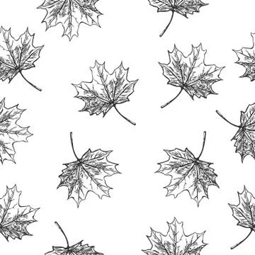 Seamless pattern with leaves. 库存插图