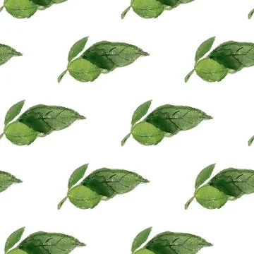 Seamless pattern with leaves Stock Illustration