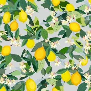 Seamless pattern with leaves, inflorescences and fruits lemon on a light grey Stock Illustration