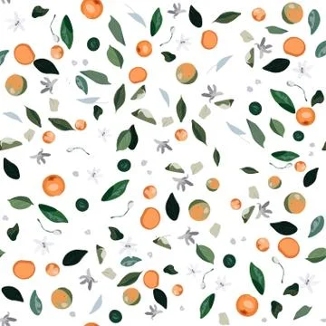 Seamless pattern with leaves, inflorescences and fruits orange tree on a whit Stock Illustration