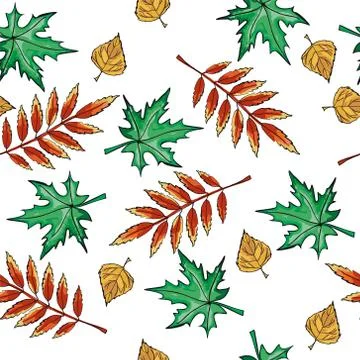 Seamless pattern with leaves on an isolated background. Windy colored leaves. Stock Illustration