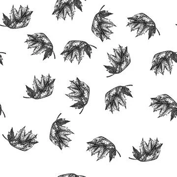 Seamless pattern leaves maple leaf sketch hand drawn 스톡 일러스트