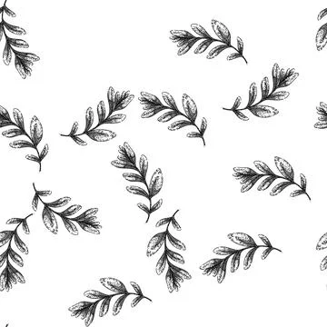 Seamless pattern leaves marjoram sketch hand drawn Stock Illustration