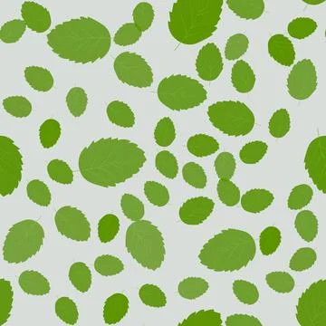 Seamless pattern with leaves of mint. Floral print Stock Illustration