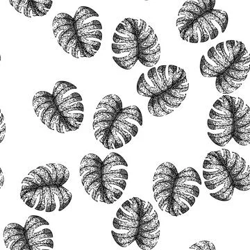 Seamless pattern leaves monstera leaf sketch hand drawn Stock Illustration