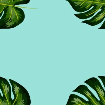 Seamless pattern of leaves monstera. Tropical leaves of palm tree. Stock Illustration