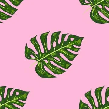 Seamless pattern of leaves monstera. Tropical leaves of palm tree. Vector bac 스톡 일러스트