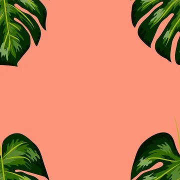 Seamless pattern of leaves monstera. Tropical leaves of palm tree. Vector bac イラスト素材