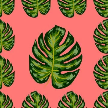 Seamless pattern of leaves monstera. Tropical leaves of palm tree. Vector bac Stock Illustration
