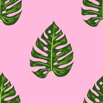 Seamless pattern of leaves monstera. Tropical leaves of palm tree. Vector bac Stock Illustration