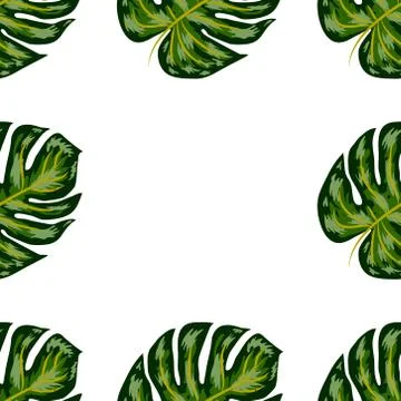 Seamless pattern of leaves monstera. Tropical leaves of palm tree. Vector bac Illustrazione stock