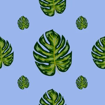 Seamless pattern of leaves monstera. Tropical leaves of palm tree. Vector bac 스톡 일러스트
