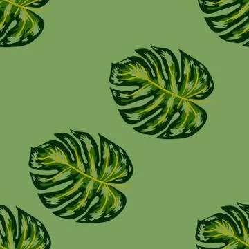 Seamless pattern of leaves monstera. Tropical leaves of palm tree. Vector bac Stockillustratie