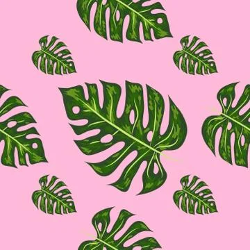 Seamless pattern of leaves monstera. Tropical leaves of palm tree. Vector bac Stock Illustration